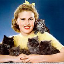 Author Joan Caulfield