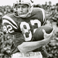 Author Raymond Berry